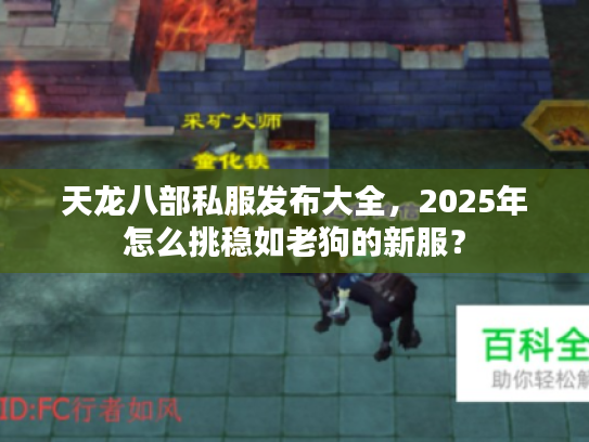 天龙八部私服发布大全，2025年怎么挑稳如老狗的新服？